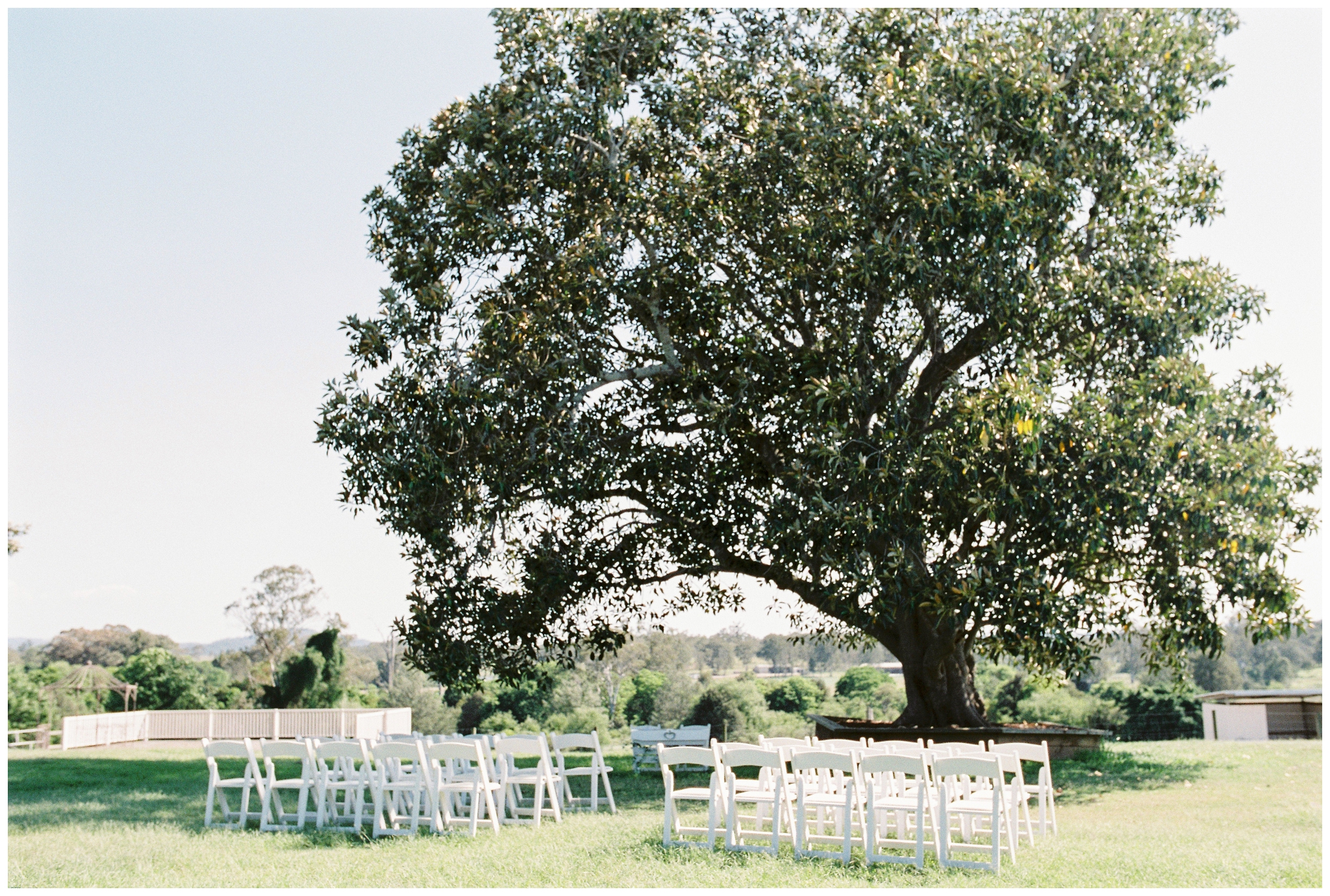 Tegan and Alex Wedding at Albert River Wines by Casey Jane Photography 25
