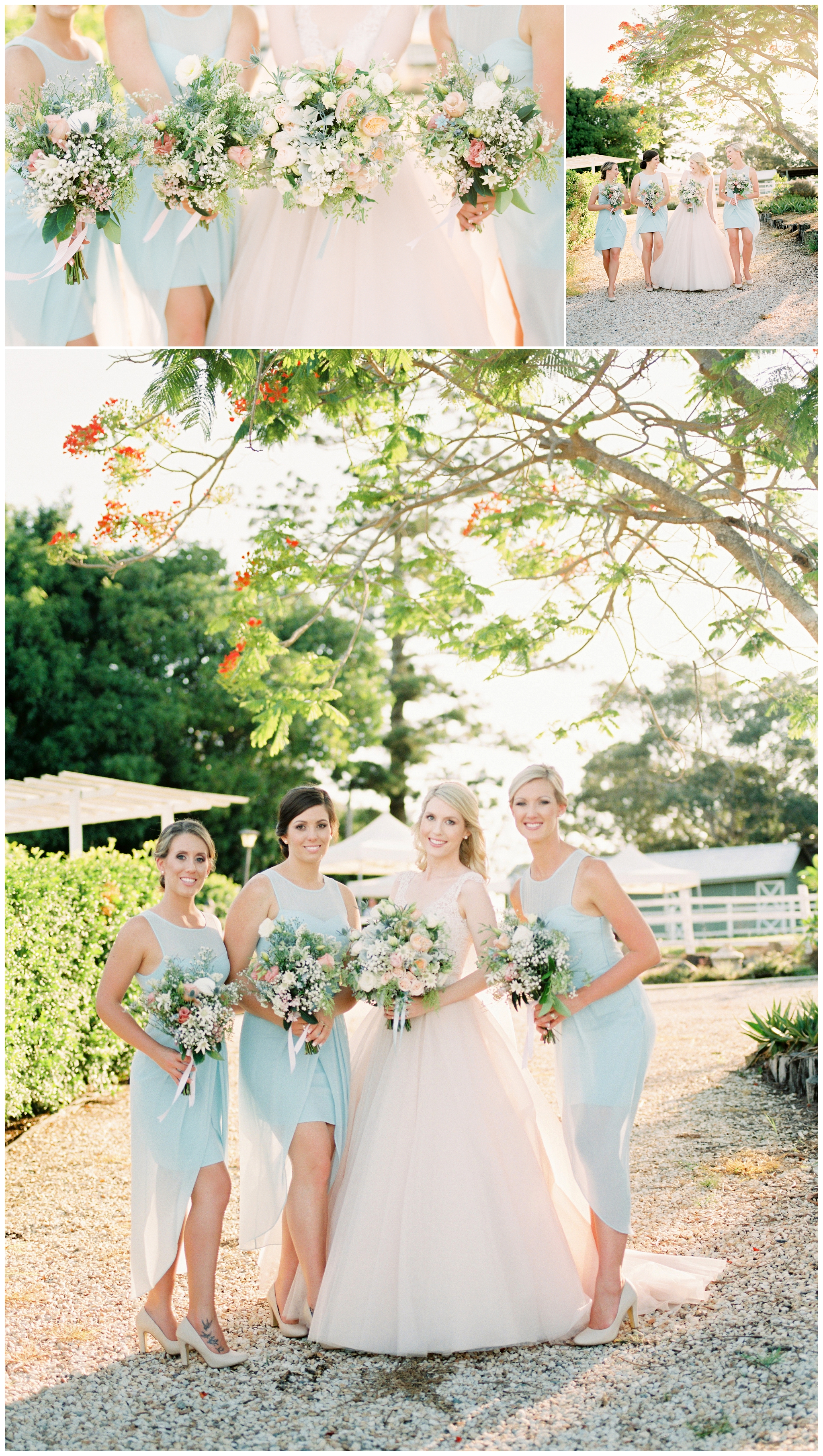 Tegan and Alex Wedding at Albert River Wines by Casey Jane Photography 51