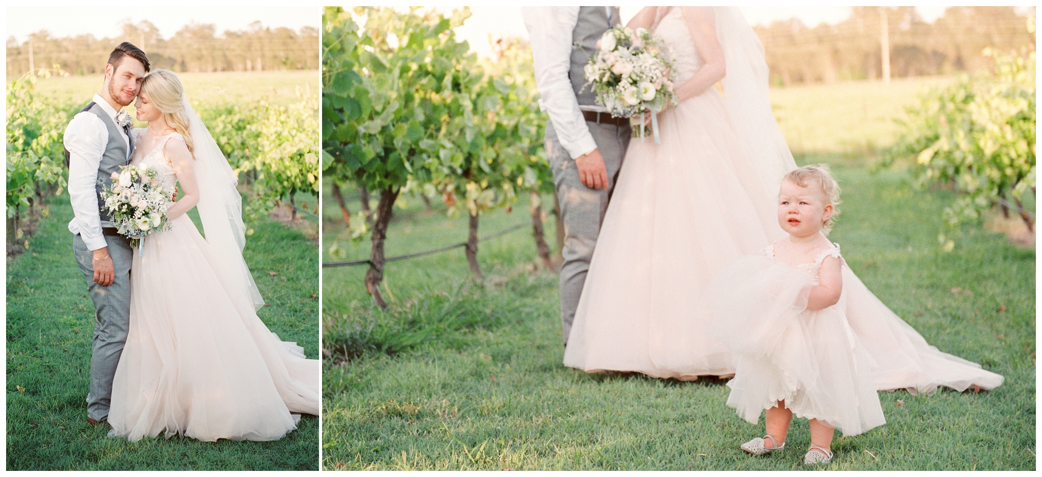 Tegan and Alex Wedding at Albert River Wines by Casey Jane Photography 63