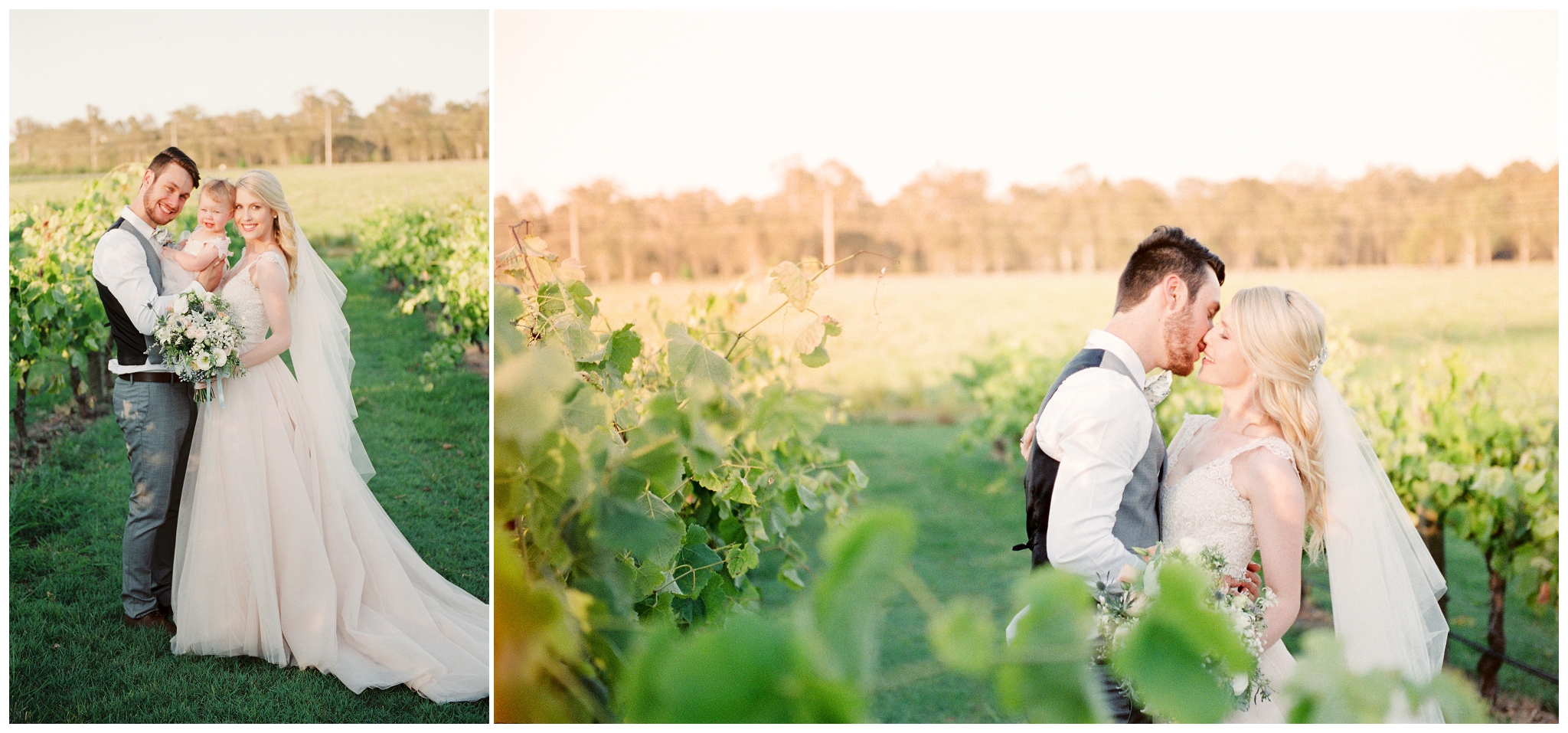Tegan and Alex Wedding at Albert River Wines by Casey Jane Photography 66